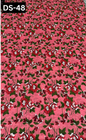 LAWN BANA DORA ALLOWER DIGITAL PRINTED 2PC | DS 48 |