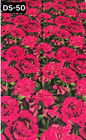 LAWN BANA DORA ALLOWER DIGITAL PRINTED 2PC | DS 50 |