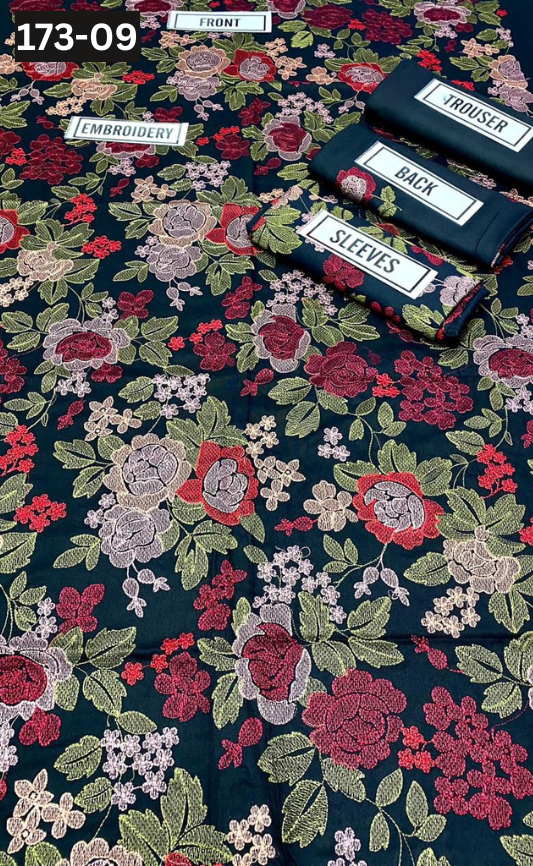 VOL 173 | DS 09 | DHANAK EMBROIDERED 2PC