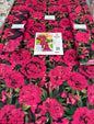 VOL 113 | DS 10 | DIGITAL PRINTED BANADORA LAWN 3PC VOIL LAWN DUPATTA